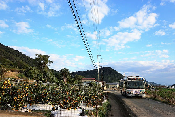 JERT8087 (2).JPG ぼかし.JPG