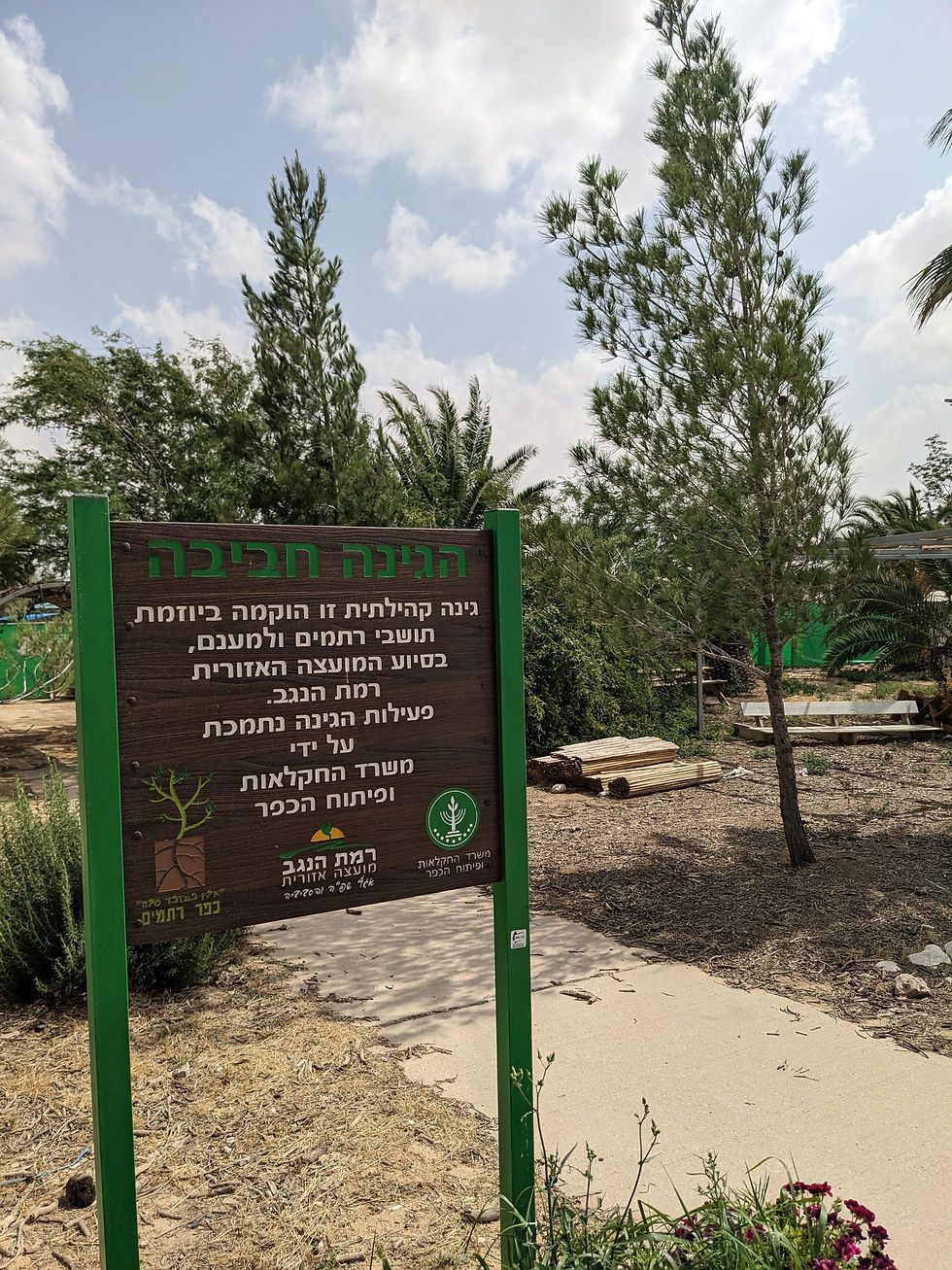 הגינה הקהילתית