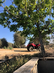 חקלאות ברתמים