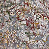 POLLOCK A ROME.jpeg