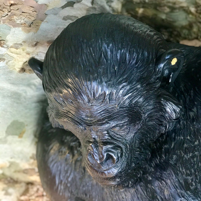 KKB_inthegarden_007 Wix.JPG