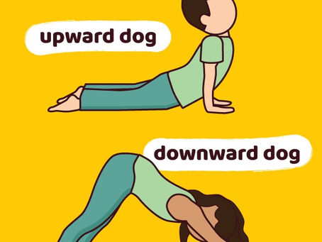 Estratégias sensoriais com foco na aprendizagem