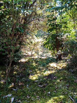 Parcelas Alto La Pirámide