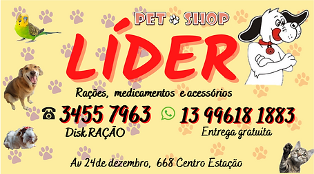 LIDER.png