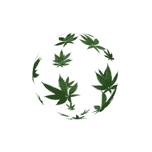 spinning 3d .gif