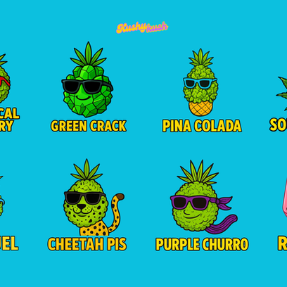 KushyKush Cannabis Sativa Strains