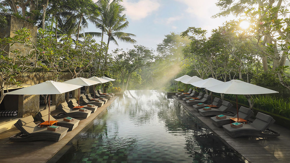 why alive is bali's top luxury wellness retreat since 2009