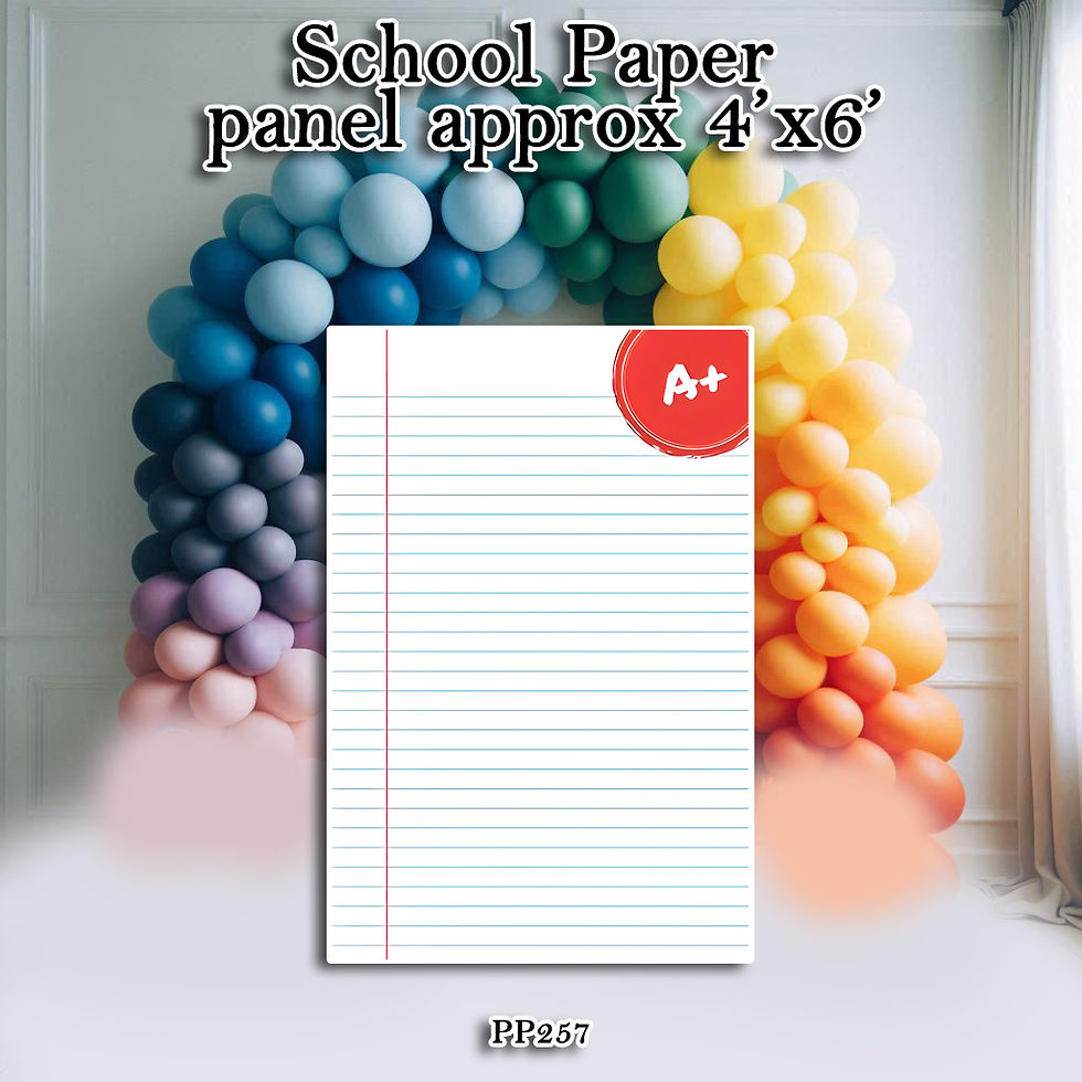 PP257 PAPER PANEL SCHOOL 4'X6'