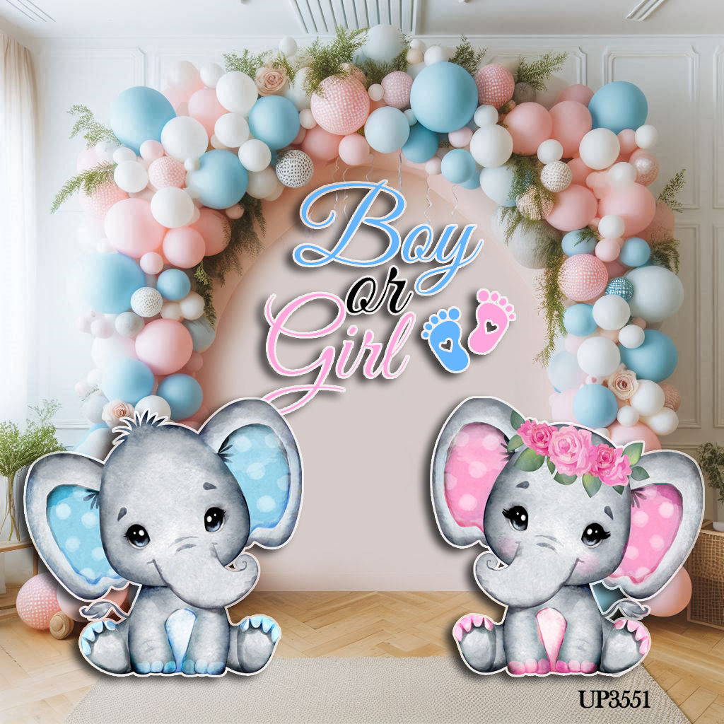 UP3551 GENDER REVEAL ELEPHANTS