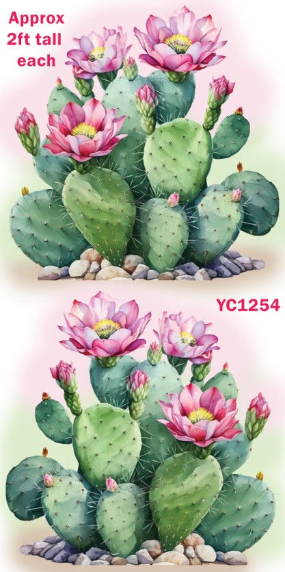 YC1254 CACTUS QS