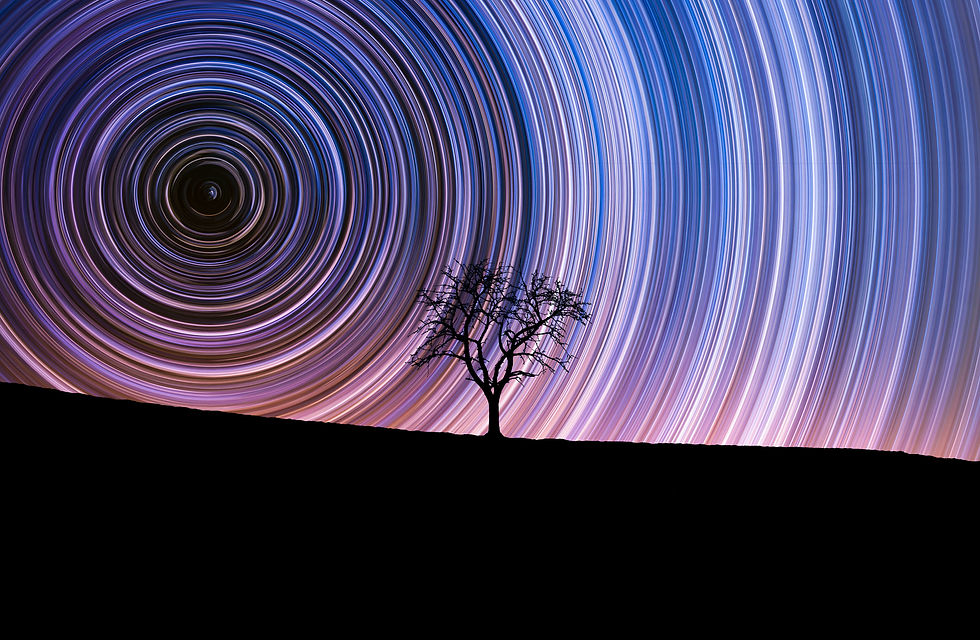 AdobeStock_412683754.jpeg