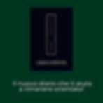 Immagine WhatsApp 2025-06-04 ore 10.26.05_3c05e6ab