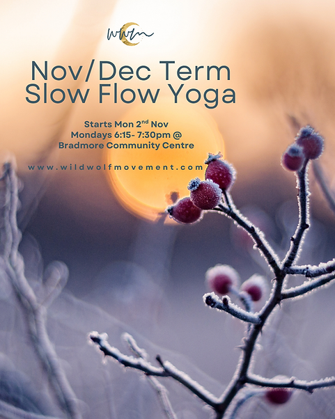 JanFeb 2026 Yoga Term(1).png