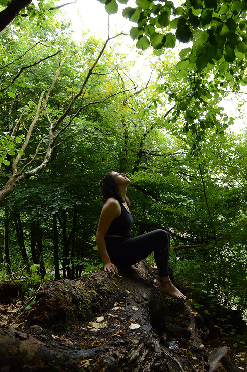 DSC_0192.jpeg