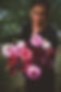 20180930-_DSC6154.jpeg