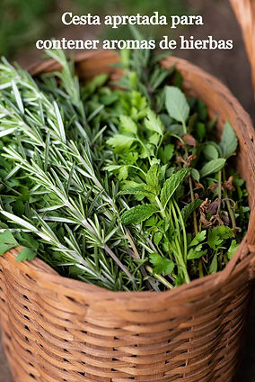 huerta 4_edCesta de asa doble artesanal para jardín, recolectar hierbas aromáticas