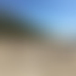 Curriculum Night, Land Acknowledgement, Orange Shirt Day, Social Worker, PA