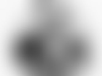 Calvin Coolidge and The Duties of Businesses