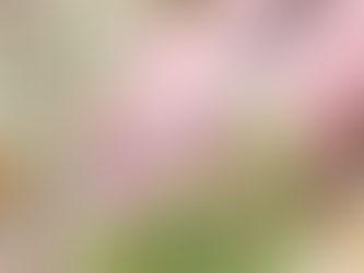 Kentucky State Budget Grew 12 Times More Than Population Growth From 2000 to 2018