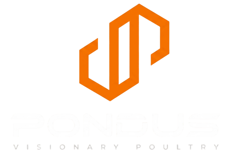 Untitled design 