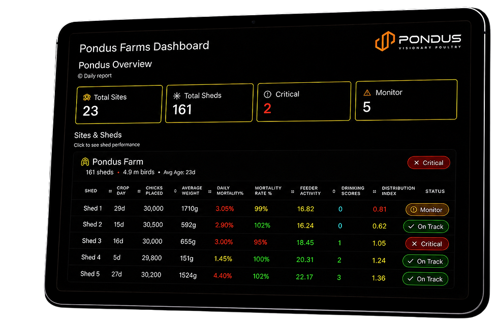 Analytics page graphic