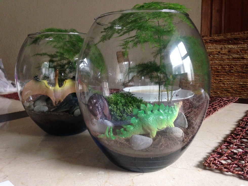 Miniatura: Bosque Zen miniatura