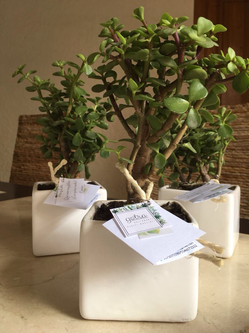 Miniatura: Arbol de la abundancia