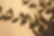 Skygger_1_edited_edited.jpg