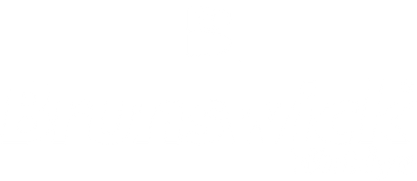 Brunswick Bowling Türkiye Logo
