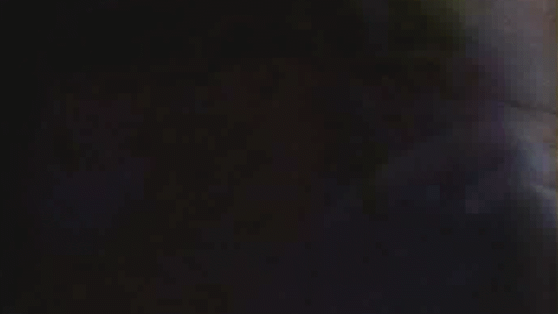rifa gif.gif