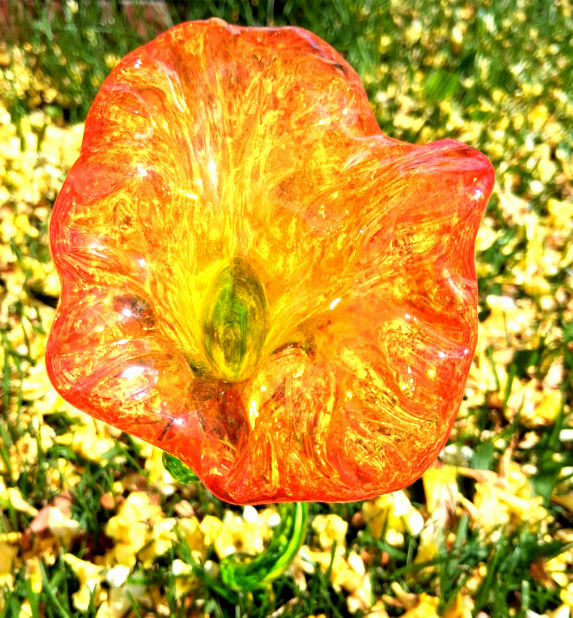 Thumbnail: Flowers