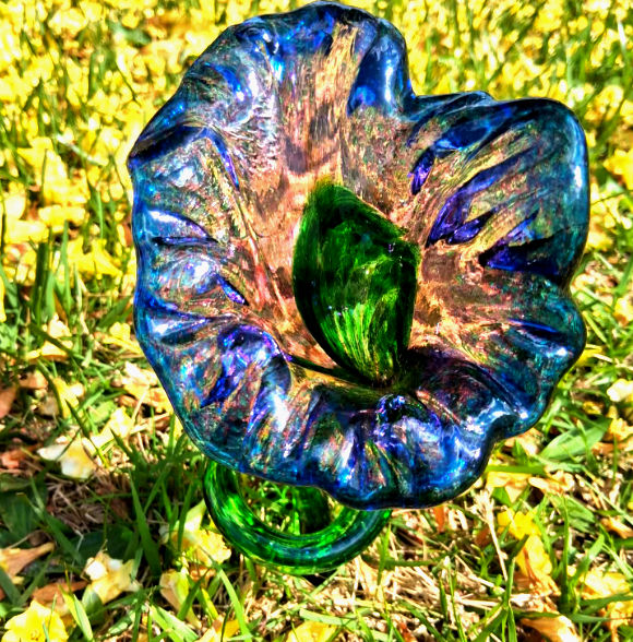 Thumbnail: Flowers