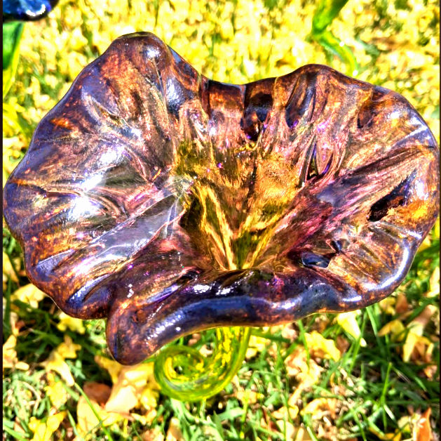 Thumbnail: Flowers