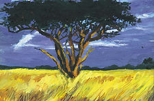 Illustration John Hirvois