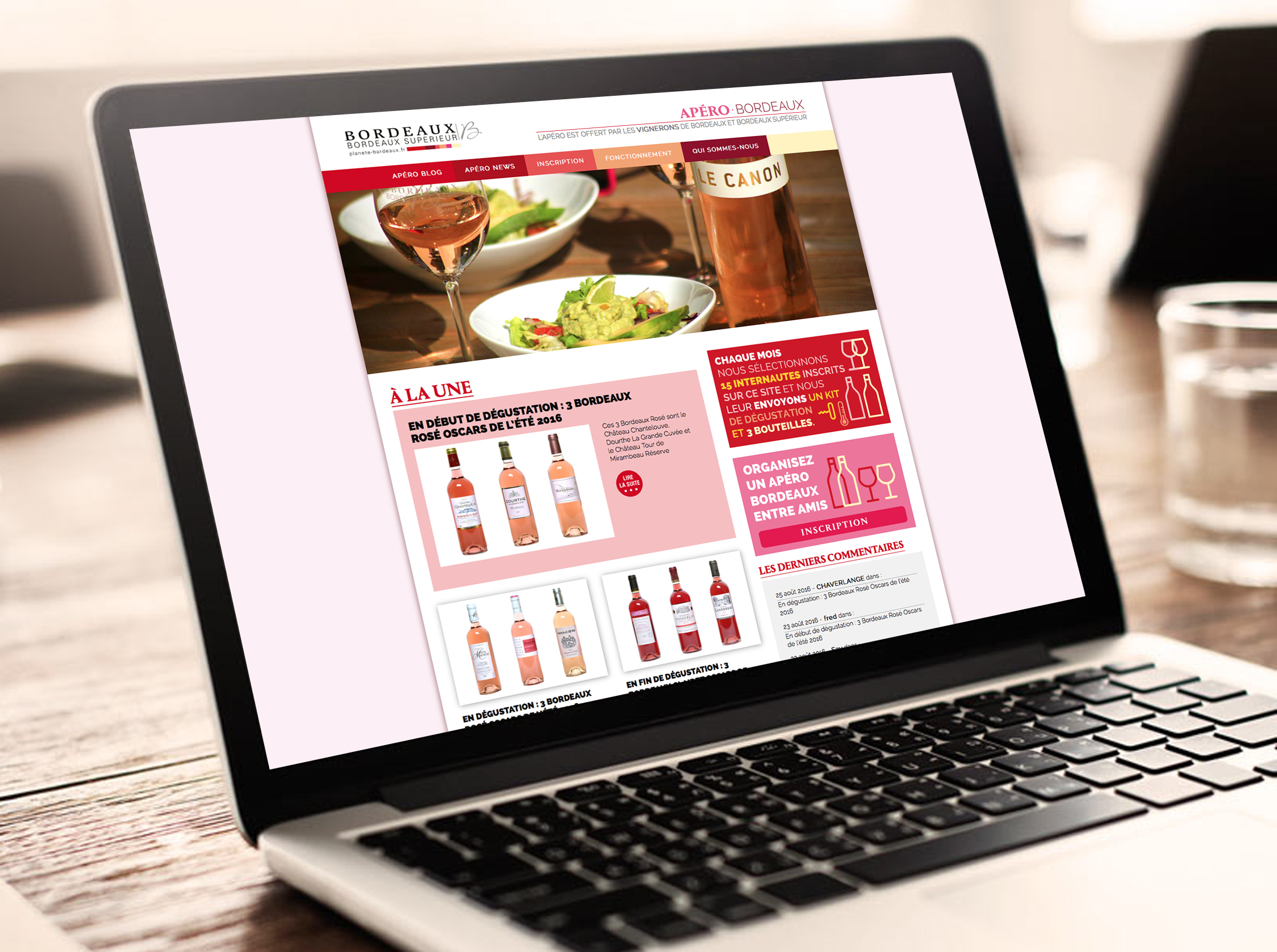 Bordeaux Vins