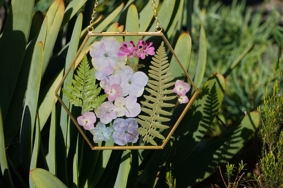 Thumbnail: Custom Gold Hexagonal Pressed Flower Frame