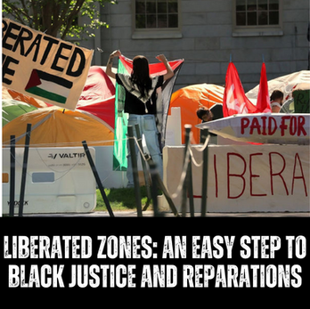 Liberated Zones