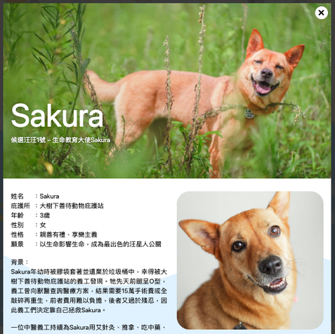 Screenshot 2023-03-03 at 4.13.00 PM.png