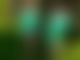 Cross Country Success