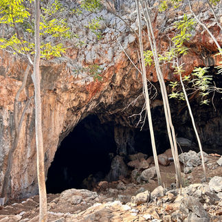 Blick aus dem Inneren einer Höhle auf den blauen Himmel und schlanke Bäume. Kontrast zwischen Dunkel