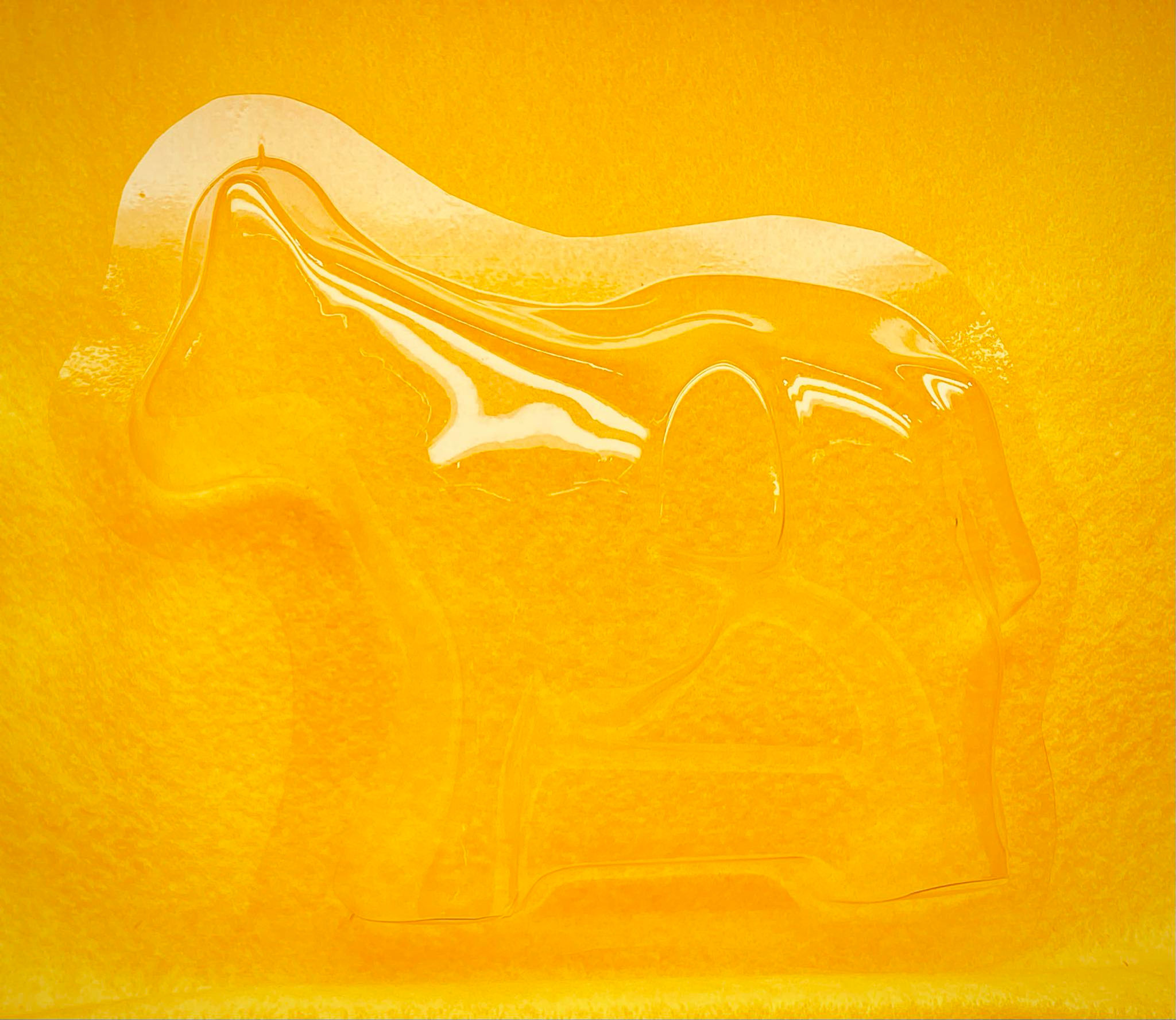 Arabian Horse Bubble - ROTLA -  Indiana Jones