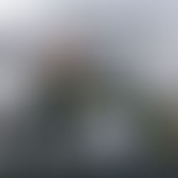 CREED Announces 2027 'Summer Of '99 & Beyond Cruise'