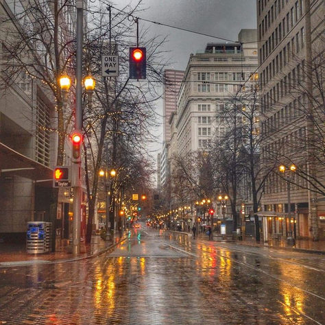 Rainy Portland street at dusk, symbolizing the emotional distance of the Portland Freeze