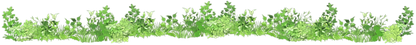 植物