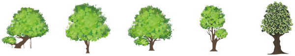 植木