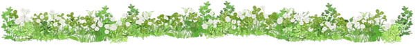 植物