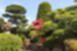 つつじの咲いている庭