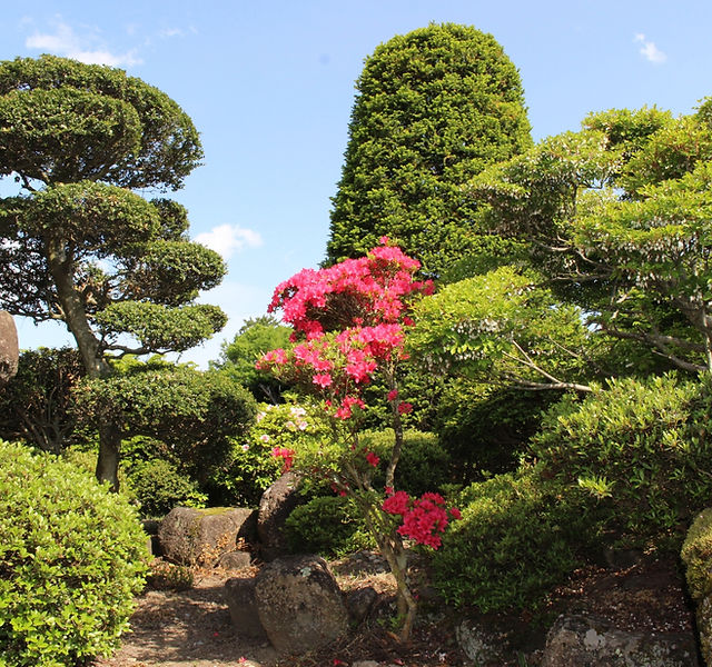 東京都品川区 造園 株式会社八香園