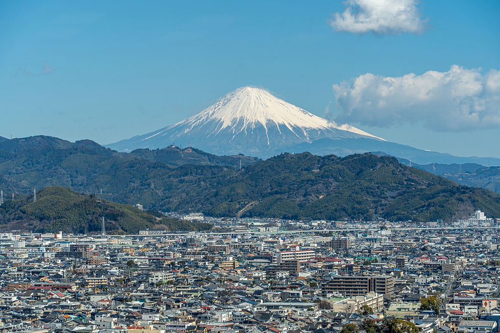 静岡市の街並み
