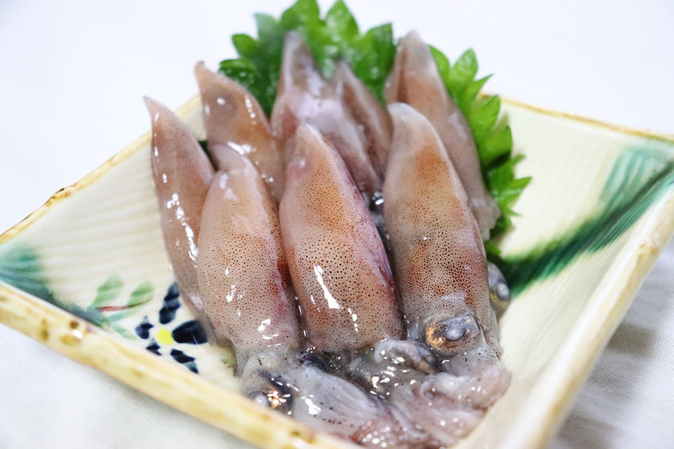 ホタルイカ